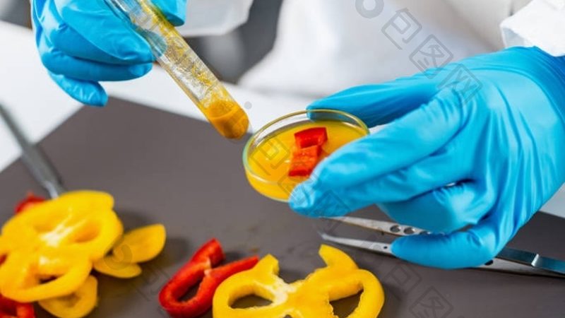 冷冻食品招商资质要求揭秘：合规经营的关键要素